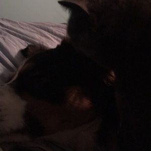 Meet your Posher, Vicky